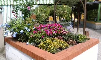 Giardino di Locanda i Tarocchi