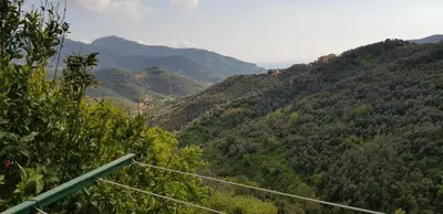 Paesaggio naturale nelle vicinanze dell'affittacamere