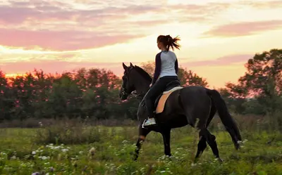 Attività di equitazione presso l'agriturismo o nelle vicinanze