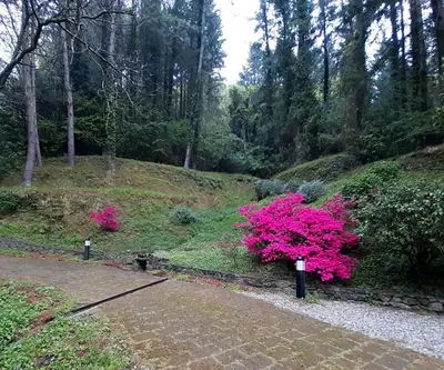 Giardino di Il Bosco di Campo Marzano studios