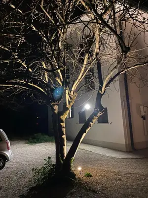Planimetria di Casa Bellodi