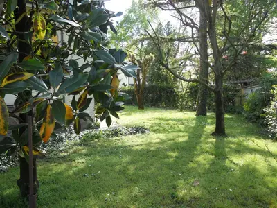 Giardino di Casa Bellodi