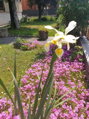 Giardino di B&B Family Home