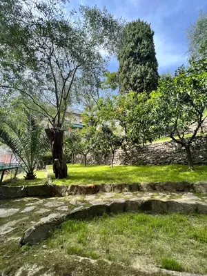 Giardino di Blue Garden