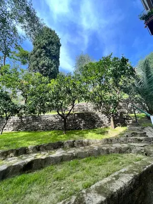 Giardino di Blue Garden