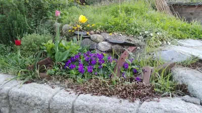 Giardino di Cà di Gatti Guesthouse
