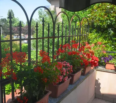 Giardino di Villa Marisa