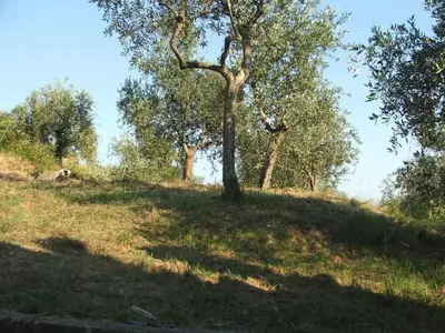 Paesaggio naturale nelle vicinanze della casa vacanze
