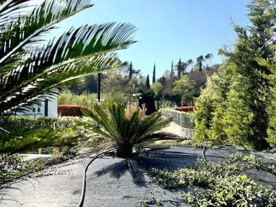 Giardino di Le Village Sarzana