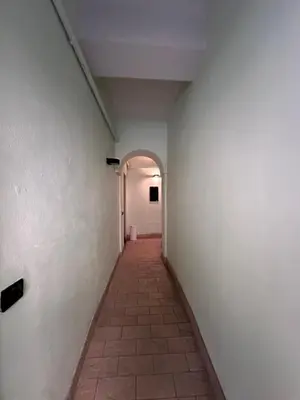 Planimetria di Aselli Palace