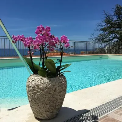 Hotel Mediterraneo
