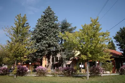 Giardino di Locanda Lago Bleu