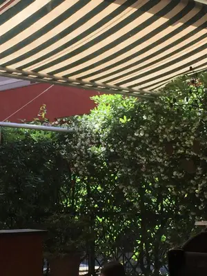Planimetria di Casa Lavagna giardinetto