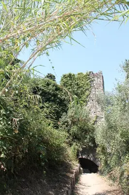 Paesaggio naturale nelle vicinanze dell'affittacamere