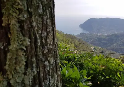 Paesaggio naturale nelle vicinanze del bed & breakfast