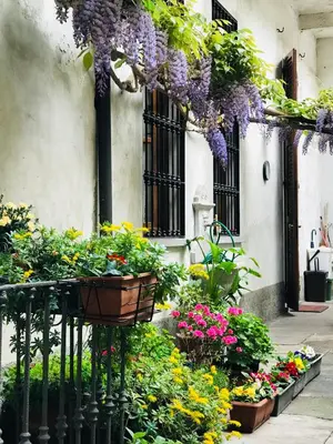 Giardino di Violino azul