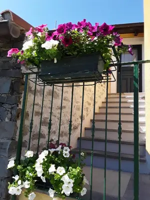 Planimetria di Sostio a Levante