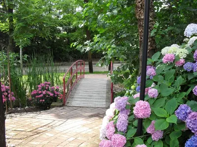 Giardino di Cascina Scova Resort
