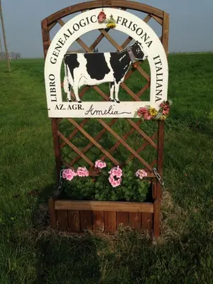 Planimetria di Fattoria Amelia