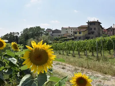 Planimetria di Holiday Home La Corte Bricca - Casa Padronale by Interhome