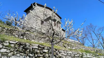 Planimetria di La casa del girasole