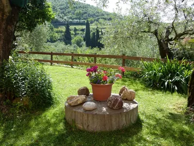 Giardino di Olive Press Lodge