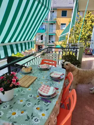 Balcone o terrazza di Yellow Submarine Freeparking petfriendly
