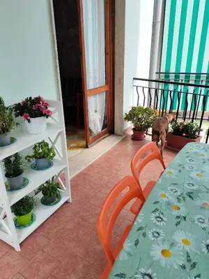Area soggiorno di Yellow Submarine Freeparking petfriendly