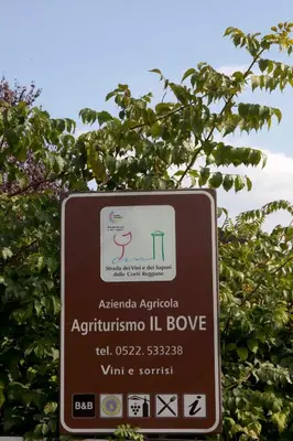 Planimetria di Agriturismo Il Bove