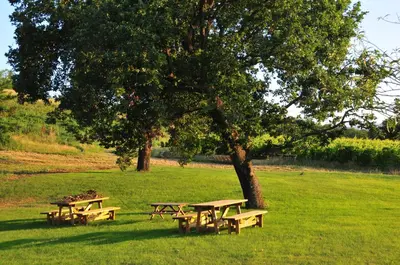Giardino di Bosco dei Poveri
