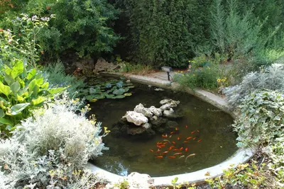 Giardino di Hotel La Fenice