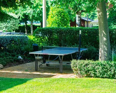 Attrezzature per ping pong presso Hotel Globo o nelle vicinanze