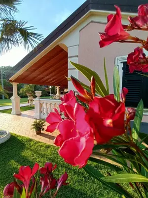 Giardino di B&B Terra Di Liguria