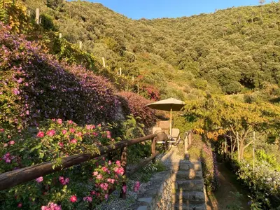 Paesaggio naturale nelle vicinanze dell'agriturismo