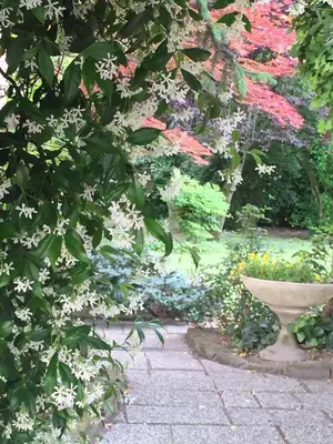 Giardino di Corte Posta B&B - parcheggio e bagno in camera - ideale per Coppie, Soggiorni di lavoro, Viaggiatori interessati a arte e cultura
