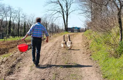Ospiti di Agriturismo Cascina Le Volpi