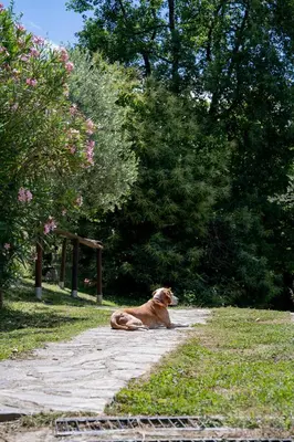 Planimetria di Agriturismo I due Ghiri - Cinque Terre