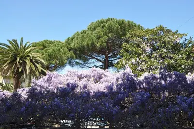 Giardino di Hotel Residence Moneglia