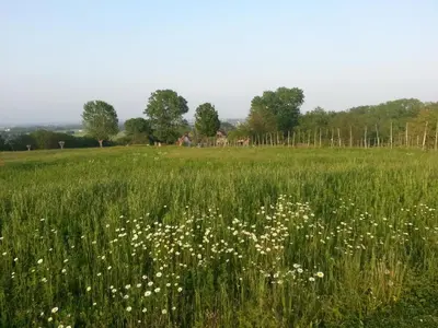 Paesaggio naturale nelle vicinanze della casa vacanze