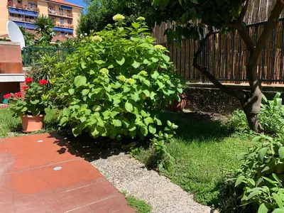 Giardino di Il giardino dei limoni