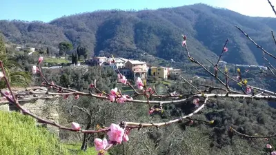 Paesaggio naturale nelle vicinanze della casa vacanze