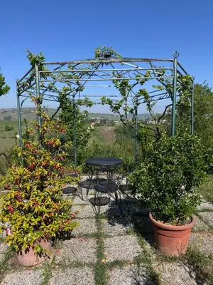 Giardino di La casa tra i vigneti