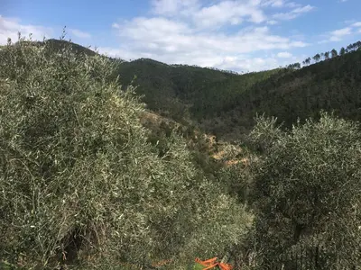 Paesaggio naturale nelle vicinanze del bed & breakfast
