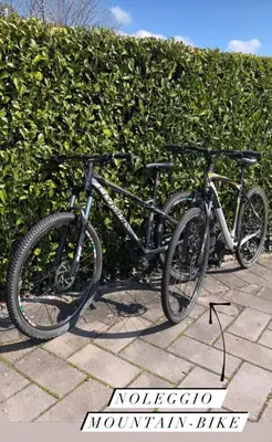 Attività di ciclismo presso l'hotel o nelle vicinanze