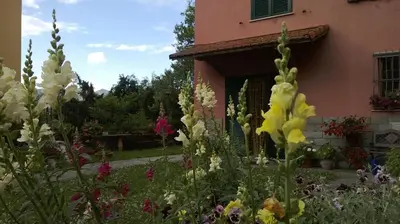 Giardino di La Torretta bed & breakfast