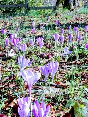 Giardino di La Torretta bed & breakfast