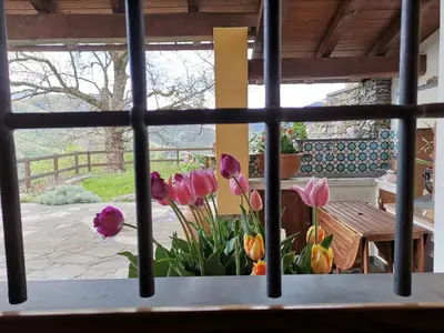 Giardino di Elsa House