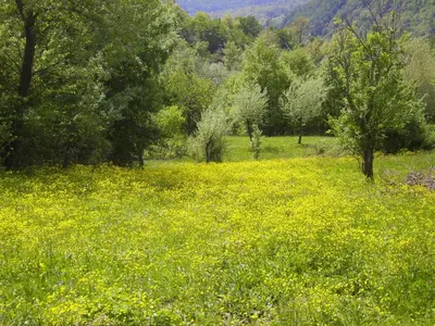 Paesaggio naturale nelle vicinanze della casa vacanze