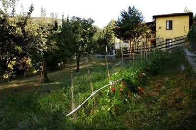 Giardino di B&B Podere Bramapane
