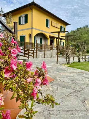 Edificio in cui si trova l'hotel